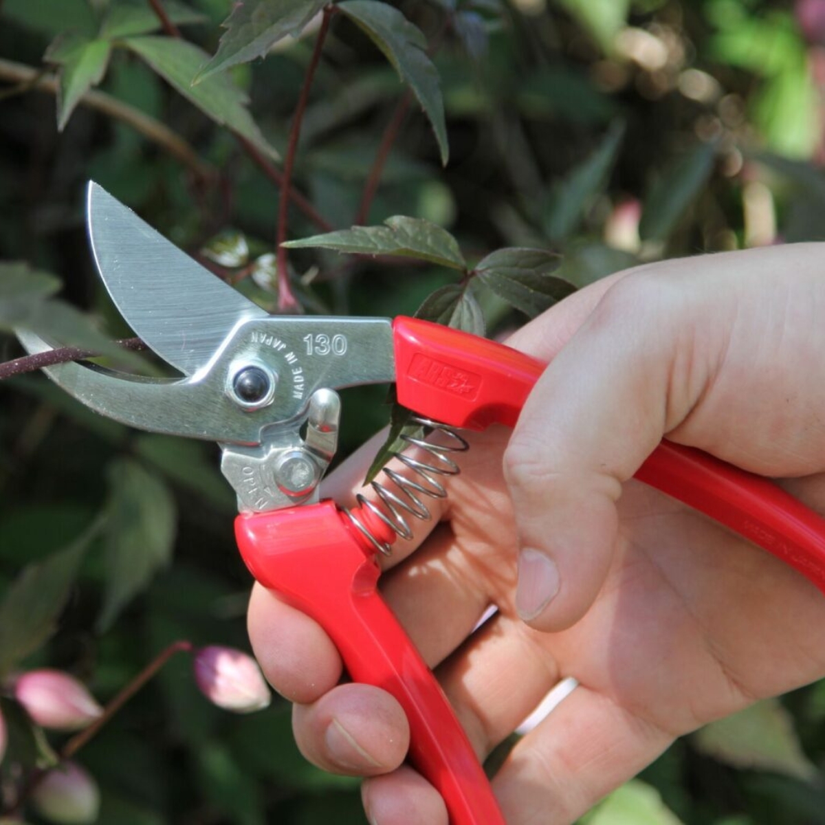 TIJERA PARA PODA DE FLORES DE 18,4 CMS ARS - Imagen 5