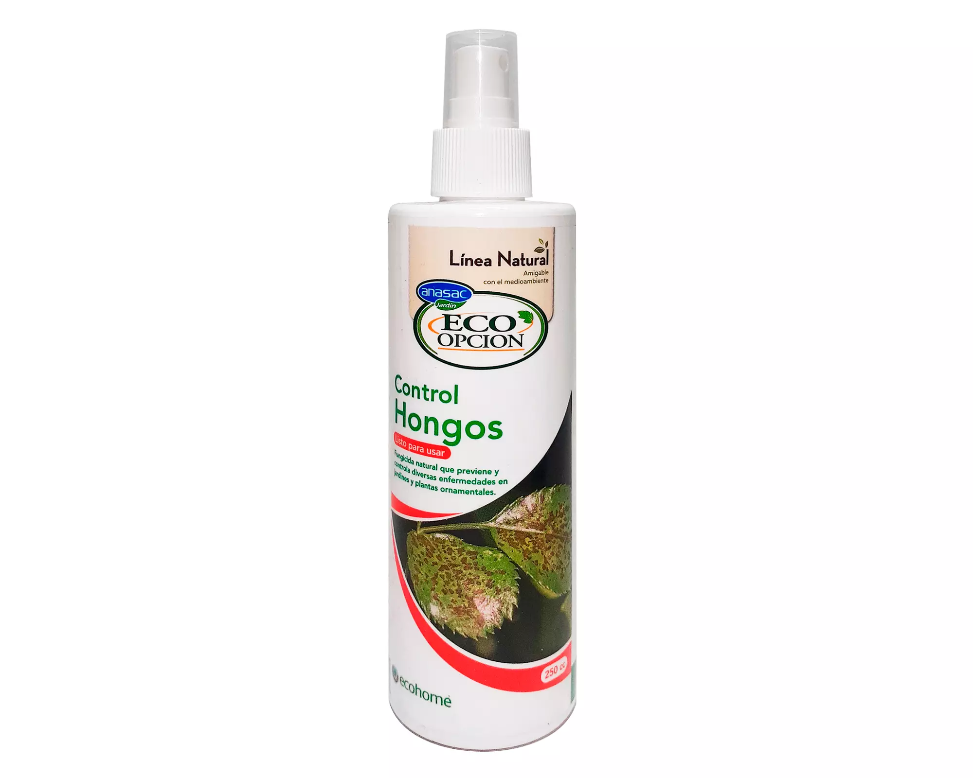 INSECTICIDA JARDIN HONGOS ECOHOME (250 CC)