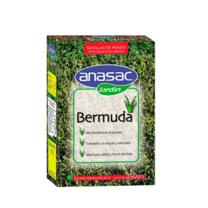 Bermuda 250gr ANASAC