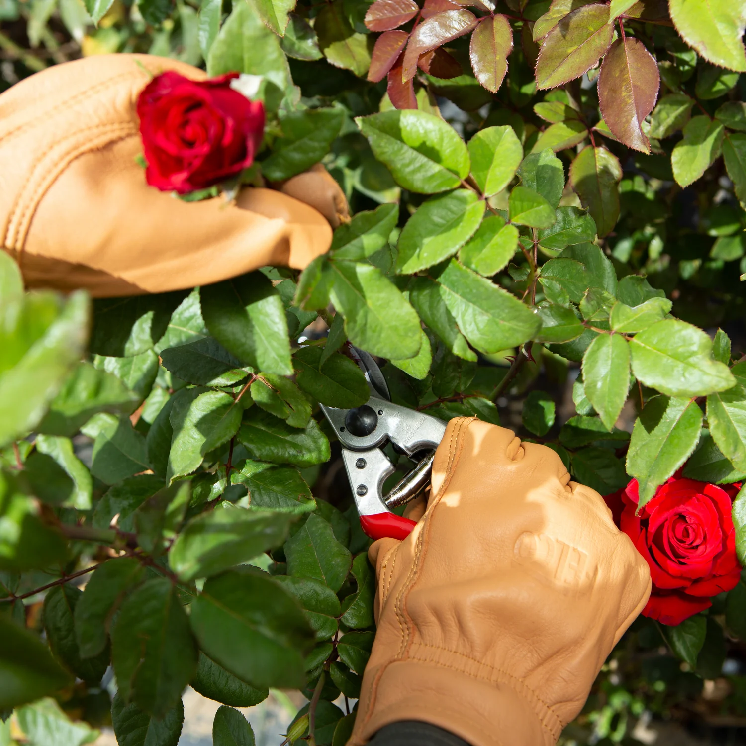 GUANTE DE CUERO NATURAL DE VACA RESITENTE A PINCHAZOS TALLA M - Imagen 2