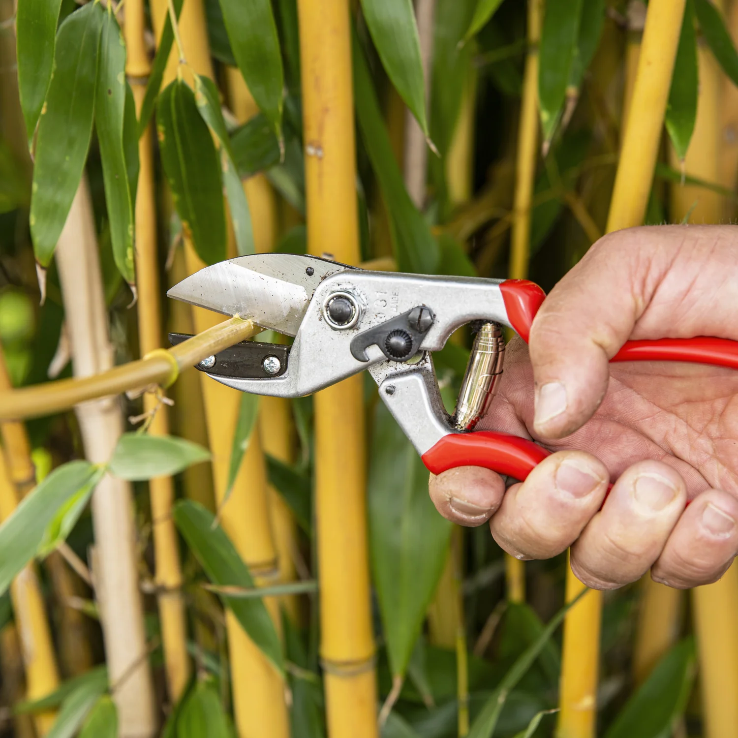 TIJERA DE PODAR FELCO N°31 - Imagen 2