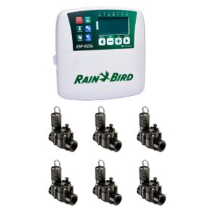 KIT RIEGO PROGRAMADOR 6 ESTACIONES INTERIOR RAIN BIRD RZX6 + 6 VALVULAS RAIN BIRD 100DV S/CF