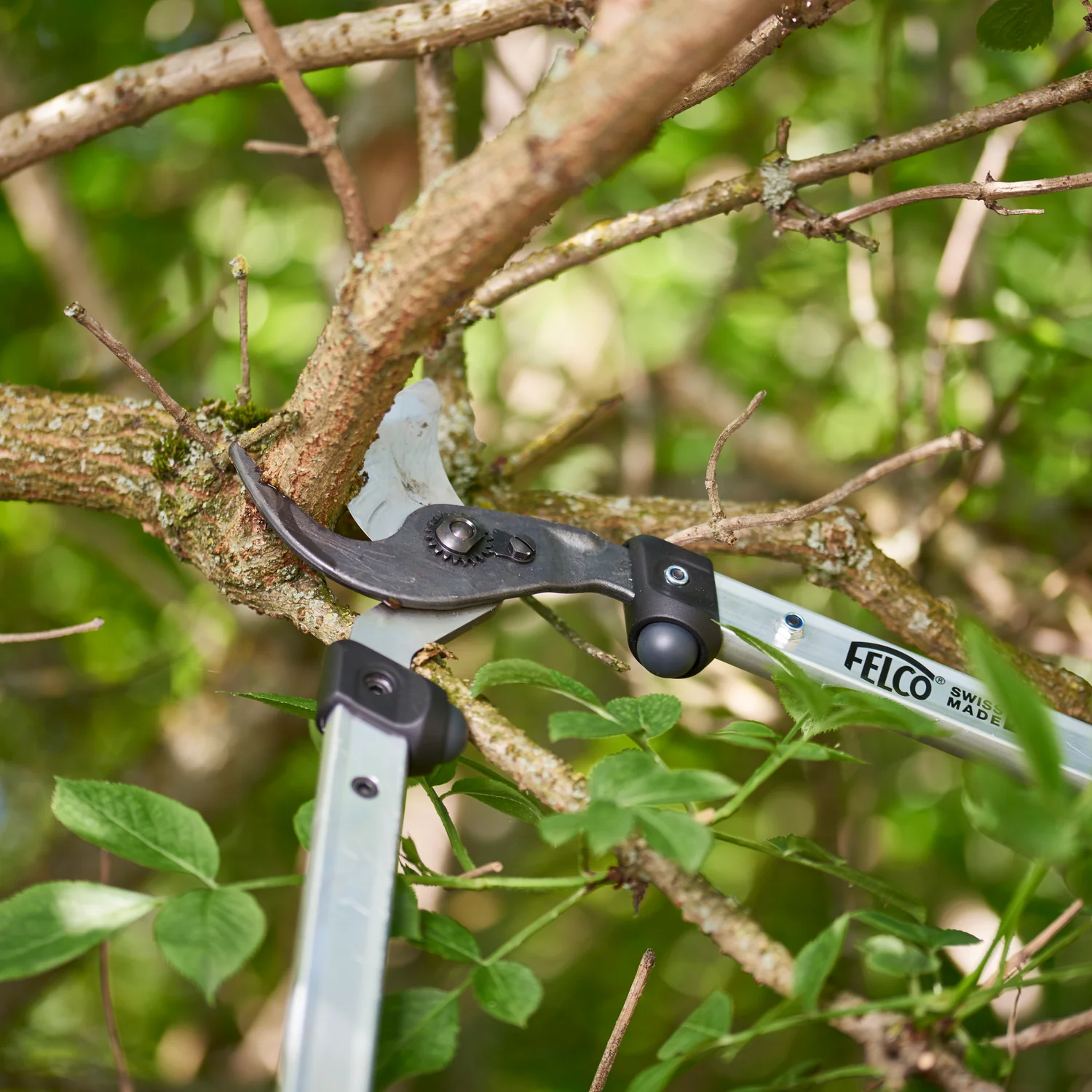 TIJERON FELCO 211-60 - Imagen 4