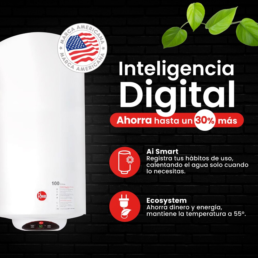 TERMO ELECTRICO DIGITAL RHEEM 100 LITROS 220V 1,5KW MURAL - Imagen 5