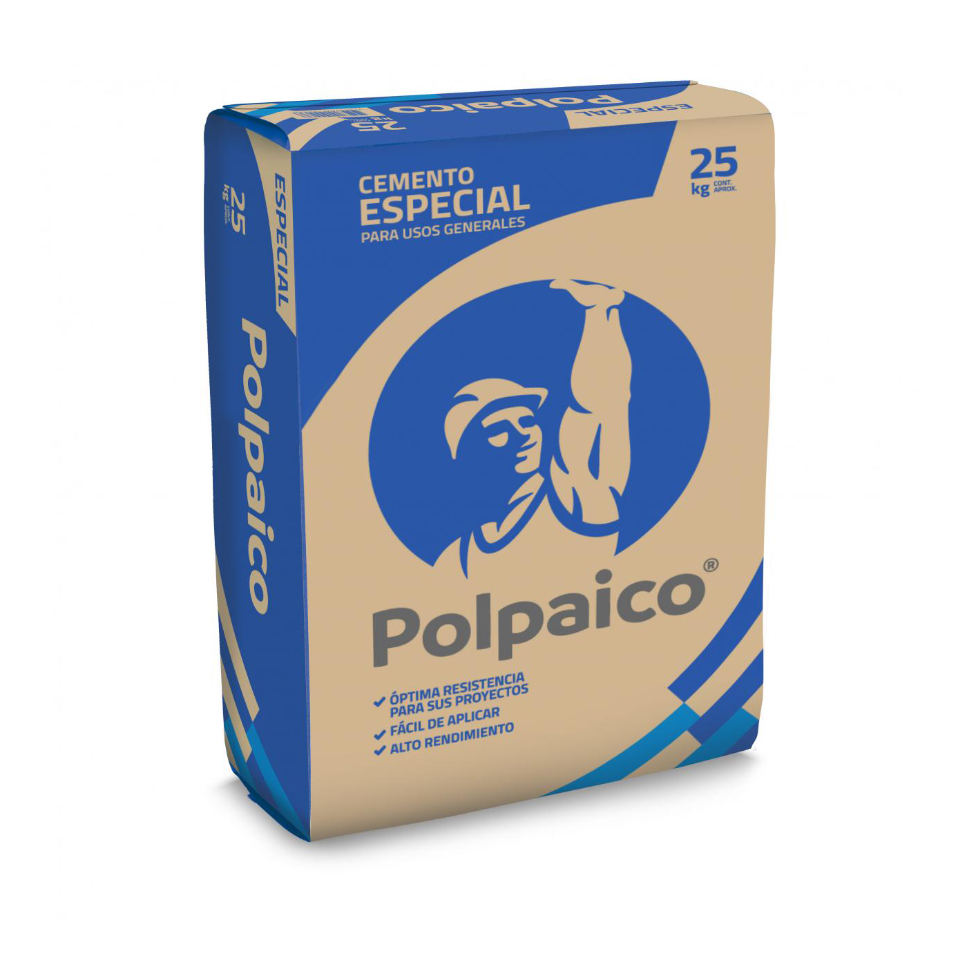 CEMENTO 25 KILOS POLPAICO